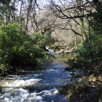 Tollymore Forest Park